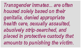 Text Box: Transgender inmates... are often housed solely based on their genitalia, denied appropriate health care, sexually assaulted, abusively strip-searched, and placed in protective custody that amounts to punishing the victim.